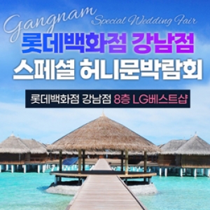 강남 신혼여행 혼수박람회