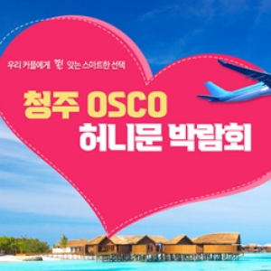 하우투 청주 허니문박람회